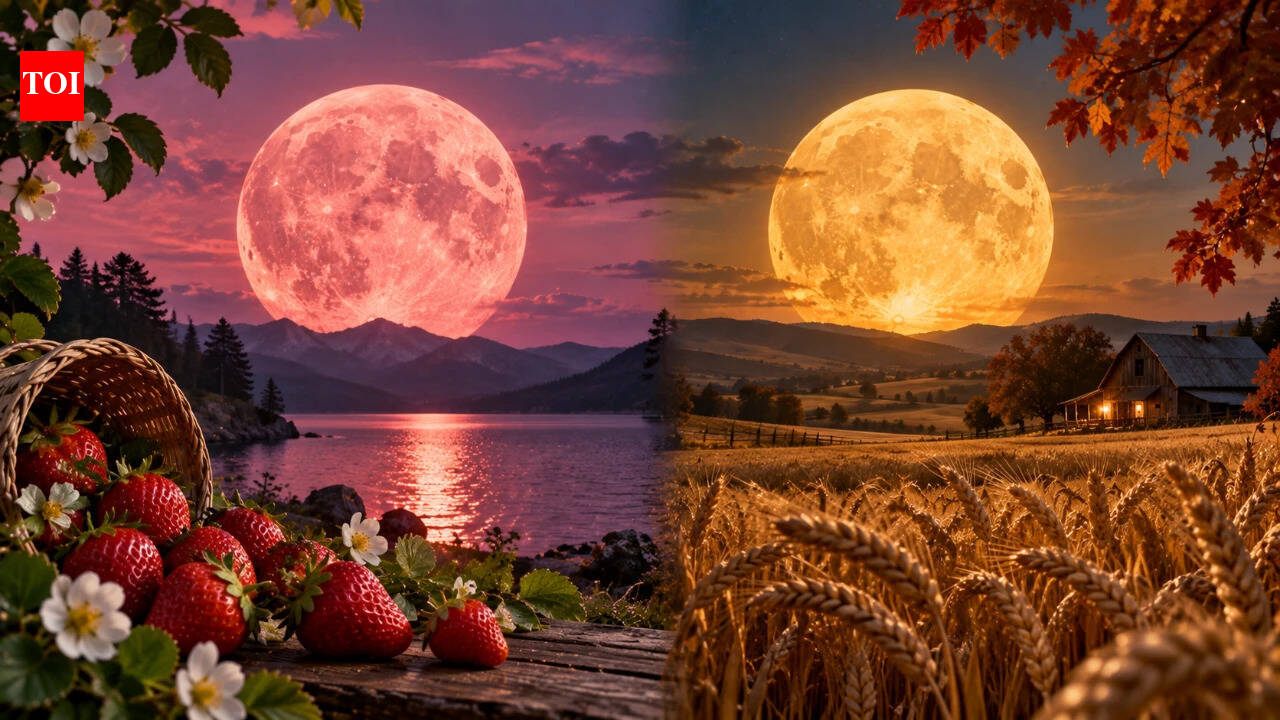 Strawberry Moon vs Harvest Moon: Why Every Full Moon Has a Different Name