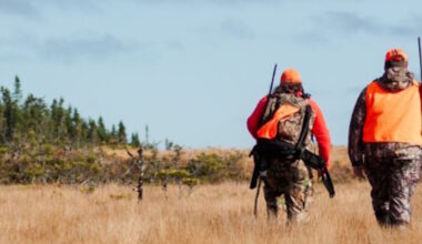 Big Game Season Now Open for Most of NL