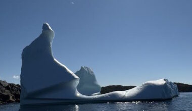 Tourism Department Looks Back on Stunning Iceberg Season