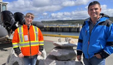 Reef balls are turning an ocean desert into a thriving ecosystem in N.L.’s Placentia Bay