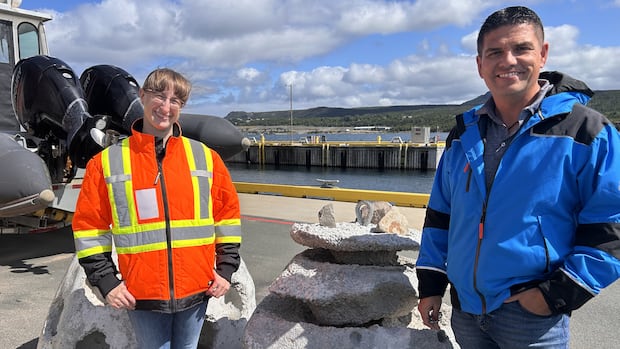 Reef balls are turning an ocean desert into a thriving ecosystem in N.L.’s Placentia Bay