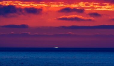 Fear “the Blob”: Relentless Marine Heat Waves Threaten to Upend Ocean Life – Mother Jones