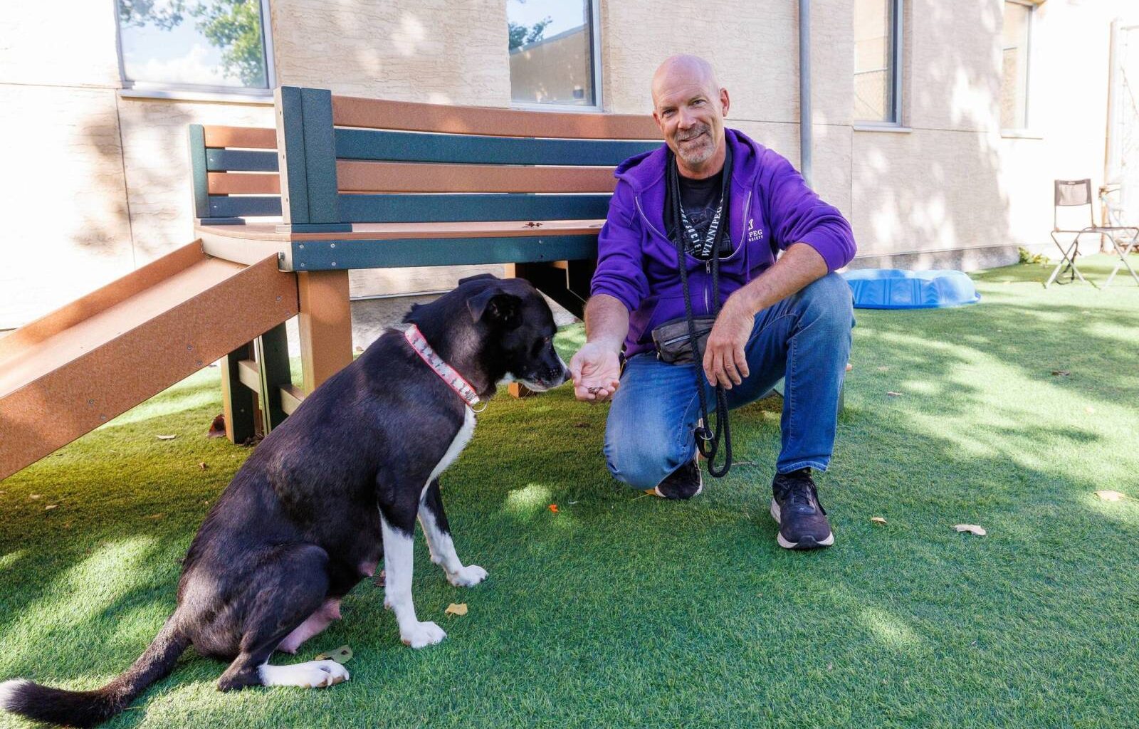 Finding fulfilment as canines’ companion – Winnipeg Free Press