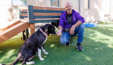 Finding fulfilment as canines’ companion – Winnipeg Free Press
