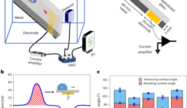 Electrification mechanisms in sliding liquid and frozen drops