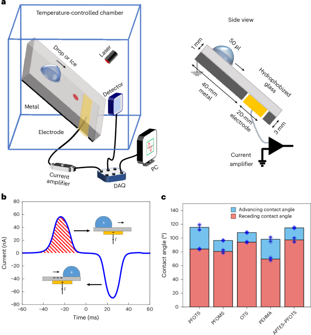 Electrification mechanisms in sliding liquid and frozen drops