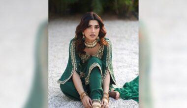 Bigg Boss 20: Just Who Is Love Gill?