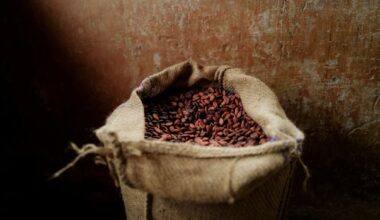 Chocolate faces more climate shocks as study highlights risk of extreme rainfall