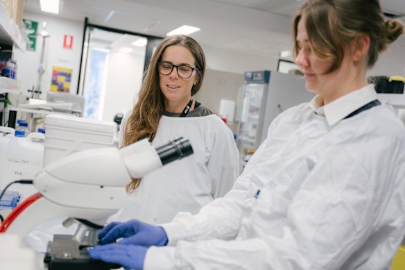 Associate Professor Kelly Clemens (centre) and Dr Isobel Williams worked with Professor Ju Lee Oei to investigate if a gut supplement could benefit babies exposed to opioids.