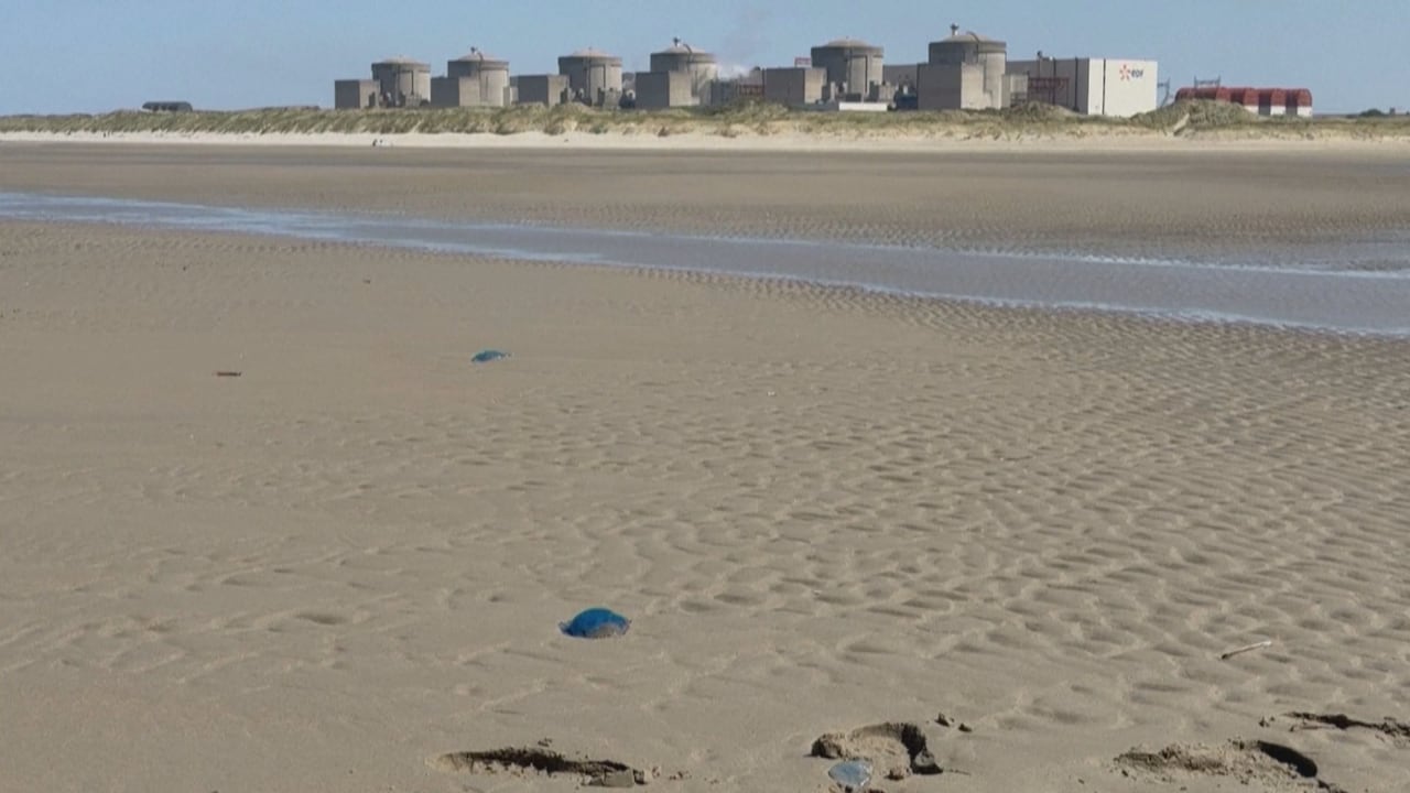 A couple jellyfish on a beach in the foreground, with nuclear reactors on the horizon.