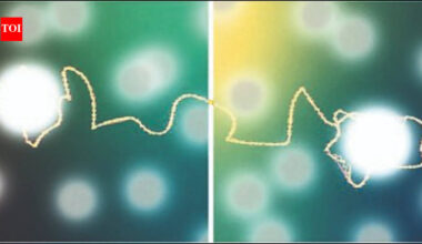 One precisely timed flip may make quantum information safe: Study