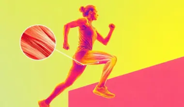 Researchers have identified a molecule capable of targeting the mechanism that prevents muscle regeneration during aging. Image generated using an AI tool