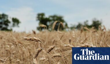 US wheat farmers navigate uncertainty amid drought and geopolitical chaos | US economy