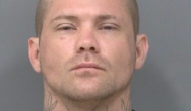 Arrest Made in Large-Scale Break-In Spree Involving 71 Vehicles in Mississauga