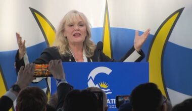 Kerry-Lynne Findlay resigns as leader of the B.C. Conservative Party