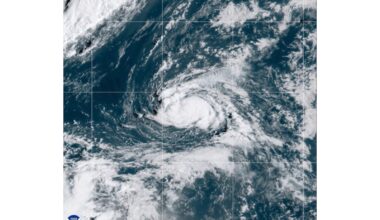 Tropical Storm Polo forms off southwestern Mexico – Winnipeg Free Press