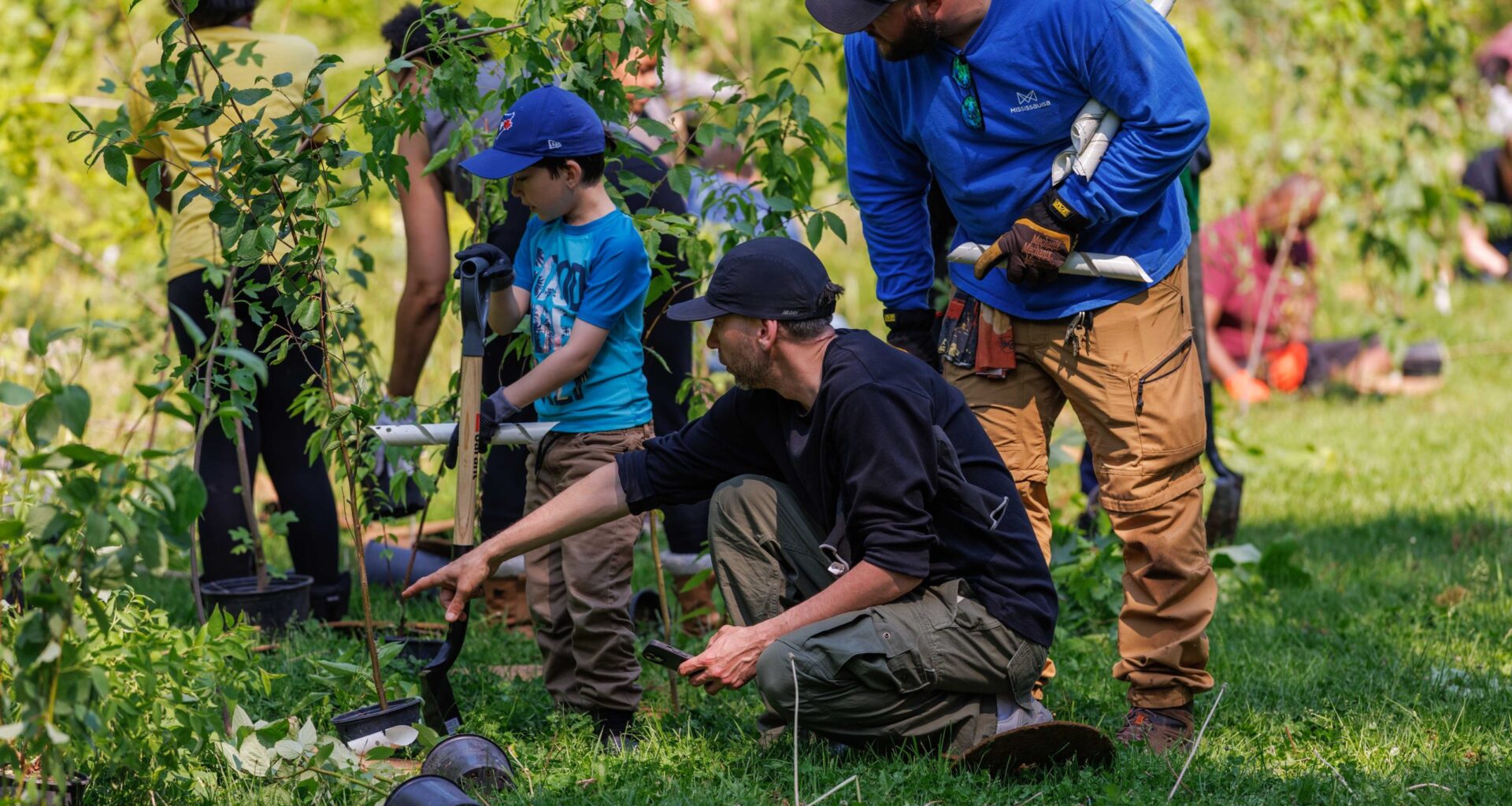 Log off and immerse yourself in nature this National Tree Day – City of Mississauga