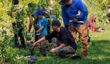 Log off and immerse yourself in nature this National Tree Day – City of Mississauga