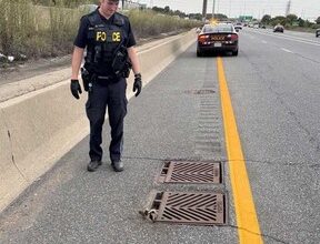 An OPP officer is pictured at the scene, ready to help a raccoon trapped inside a sewage grate in Burlington.