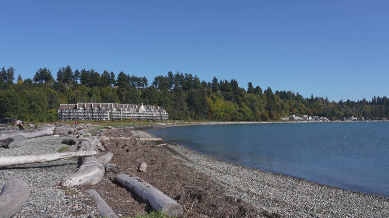 A scenic sunny beach with buildings and trees in the background