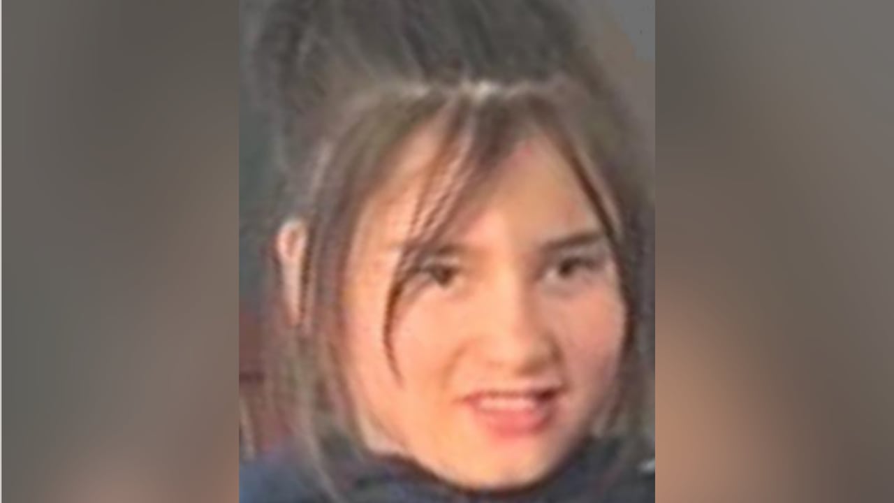 A photo of a girl with brown hair.