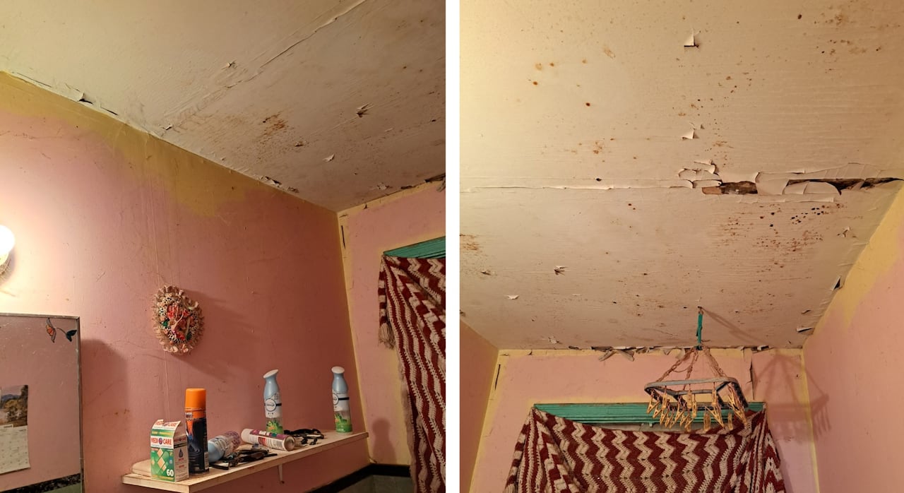 Mould and water damage are shown in a bathroom.