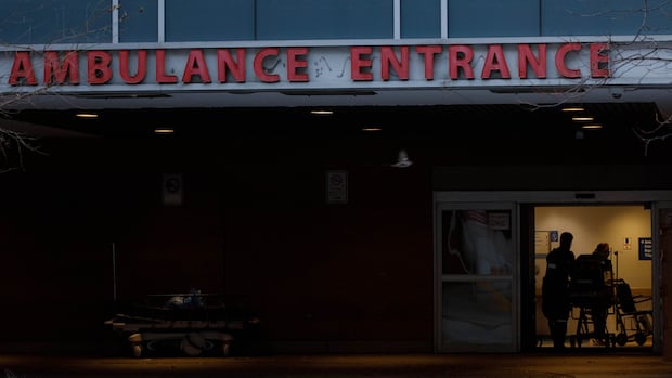 Ontario's health-care, education sectors need to spend more or service levels will drop: FAO reports