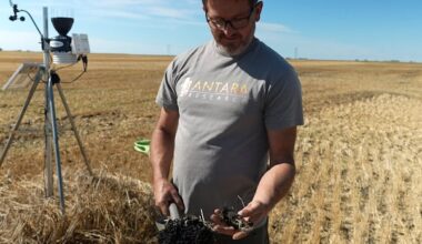 Manitoba municipalities propose some farmers could pay for future cleanups after costly dust storm