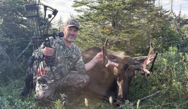 West coast N.L. hunter harvests 7-point bull moose only to find it has ‘no male parts’