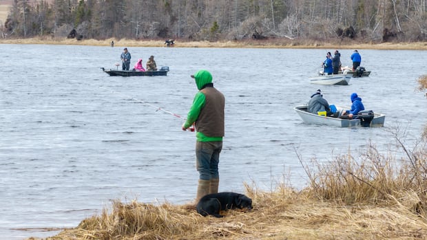 New P.E.I. interactive map displays fishing locations and rules for anglers