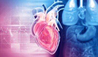Human Anatomy Heart Structure 3D