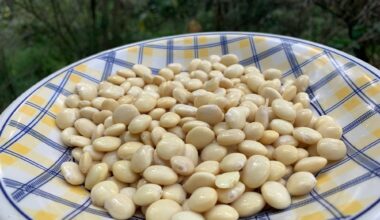 Review: North American and Andean Indigenous Plant-Based Foods and Their Contemporary Scientific Rationale for Health Improvement. Image Credit: DANIEL CONSTANTE / Shutterstock