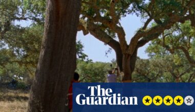 The Seasons review – Portuguese pastoral offers poetic excavation of myth and mapping | Movies