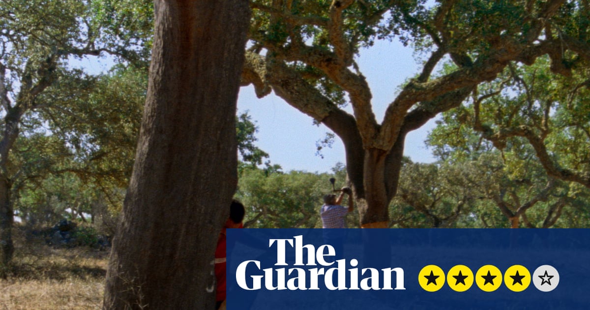 The Seasons review – Portuguese pastoral offers poetic excavation of myth and mapping | Movies
