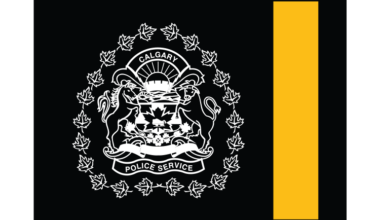 Man charged with several firearms offences