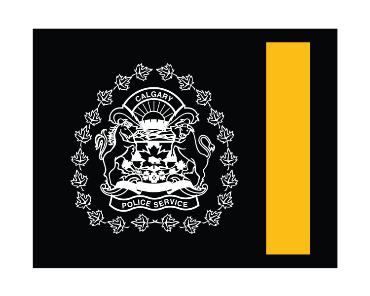 Man charged with several firearms offences