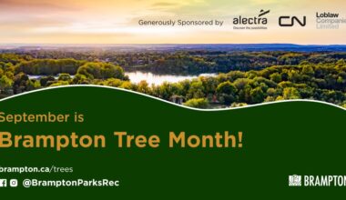 Celebrate Tree Month in Brampton this September