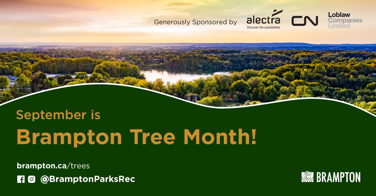Celebrate Tree Month in Brampton this September