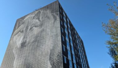 Wolf capital branding in Thompson falters as sign comes down and projects sit idle