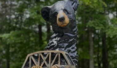 'Disappointing': Chester the Bear stolen from Storybook Trail