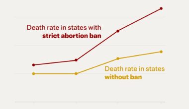 Ectopic Pregnancy Deaths Have Nearly Doubled. It’s Worse in Abortion-Ban States. — ProPublica