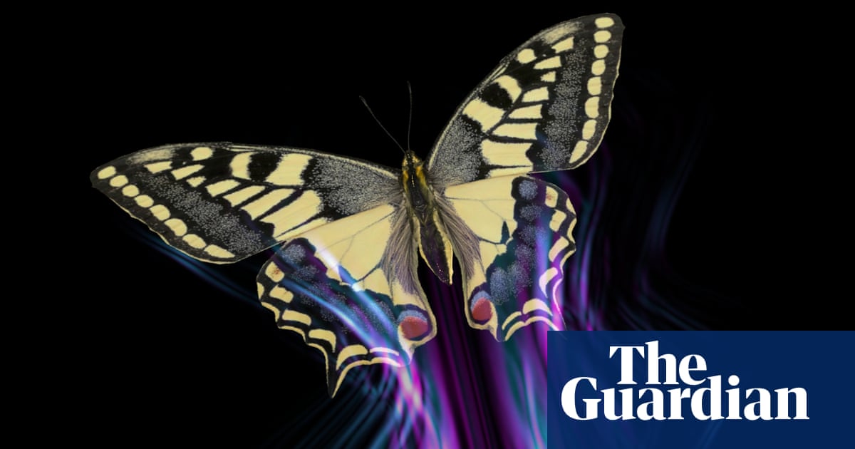 All of a flutter: how butterflies avoid being a predator’s lunch | Animal behaviour