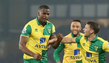 Norwich City: Sebastian Bassong swaps pitch for boxing ring