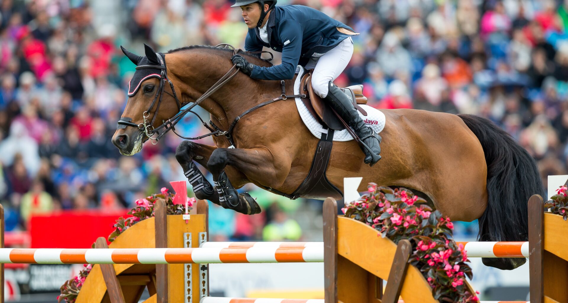 CSI5* MLSJ Toronto Entries Announced: Kick-Off to an Exciting Season