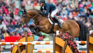 CSI5* MLSJ Toronto Entries Announced: Kick-Off to an Exciting Season
