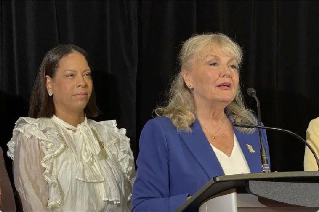 Surrey Conservative MLA Hepner wants to give Findlay ‘runway’ to fix ‘chaos’