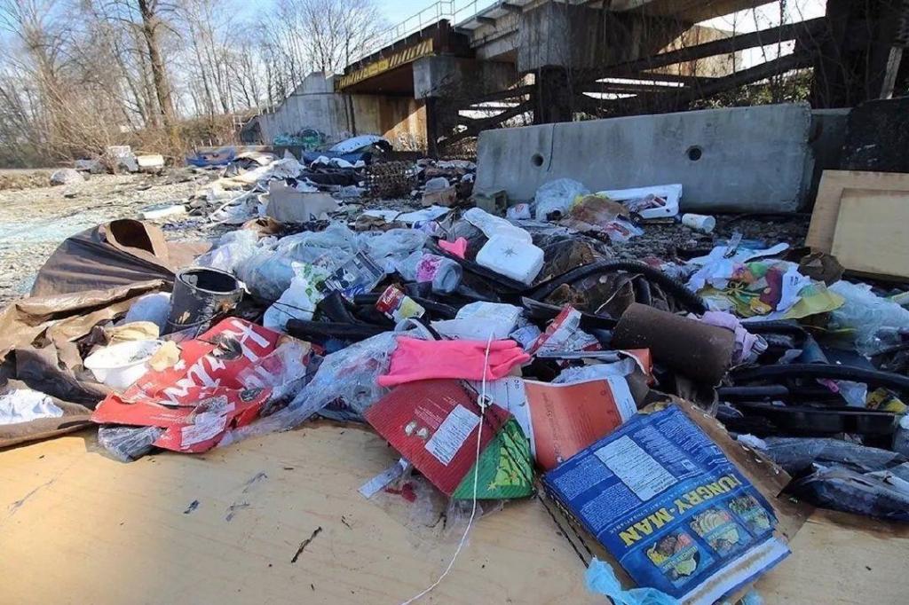 Doug McCallum promising war on illegal dumpers if elected