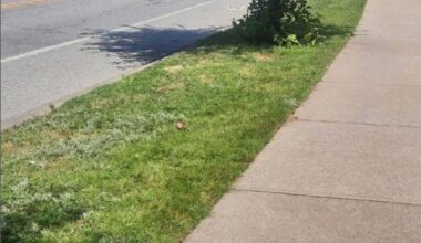 Imagine Surrey promising 50 kilometres of new sidewalks if elected
