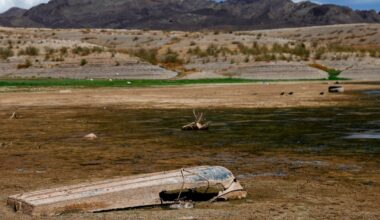 Climate scientists fired by Trump step in to fill U.S. report gap