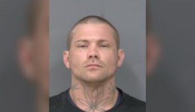 Mississauga man charged after 71 vehicle break-ins